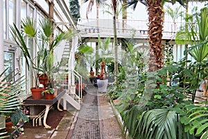 Gothenburg Botanical Garden