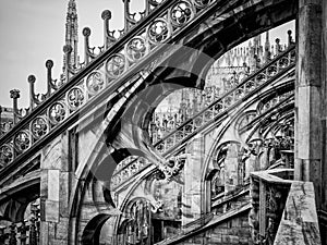Gothic arches of the Duomo di Milano in black and white