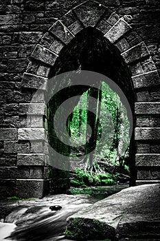 Gothic archway to fantasy woodland