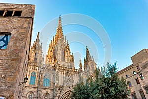Gothic Barcelona Cathedral at the sunrise, Spain