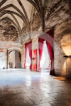 Gothic castle interior