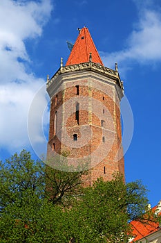 Gothic Castle in Legnica 2