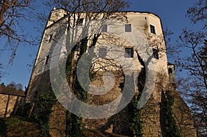 Gothic castle Malenovice in park photo