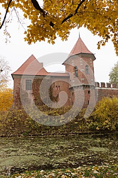 Gothic castle in Oporow, Poland photo