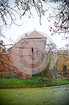 Gothic castle in Oporow, Poland photo