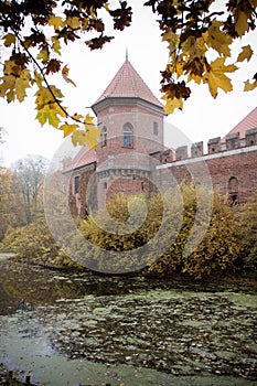 Gothic castle in Oporow, Poland photo