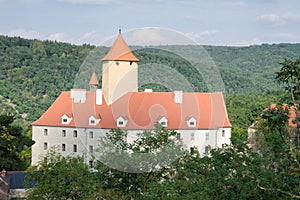 Gothic castle in the woods