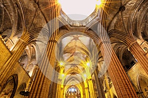 Gothic cathedral, Barcelona-Spain