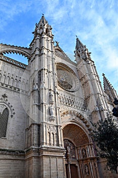 Gothic cathedral La Seu in Palma de Mallorca