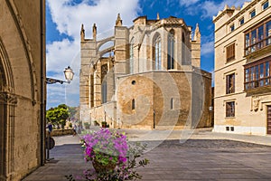 The gothic Cathedral La Seu in Palma de Mallorca islands, Spain