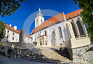 Gothic Cathedral of St. Martin