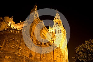 The cathedral lights a beautiful Seville night