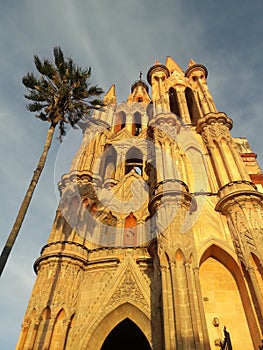 Gothic church with Palm tree at sunset San Miguel de Allende Guanajuato Mexico Parroquia