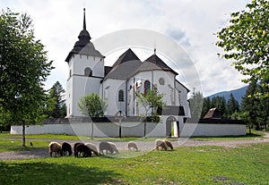 Gothic church in Pribylina with sheep