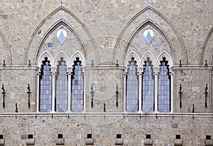 Gothic double windows