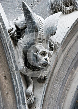 Gothic gargoyle