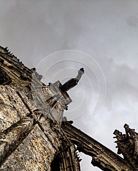 Gothic gargoyle photo