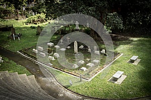 Gothic Graveyard, Wellington New Zealand.