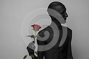 Gothic and Halloween theme: a man with black skin holding a red rose, black death isolated on a gray background in studio