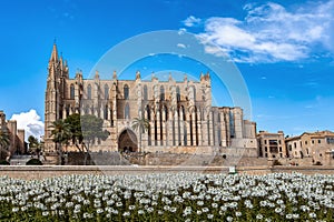 Gothic medieval cathedral La Seu and Royal Palace of La Almudaina. Palma de Mallorca. Balearic Islands Spain