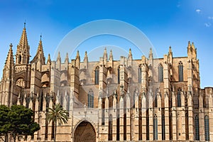 Gothic medieval cathedral La Seu and Royal Palace of La Almudaina. Palma de Mallorca. Balearic Islands Spain