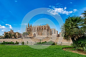 Gothic medieval cathedral La Seu and Royal Palace of La Almudaina. Palma de Mallorca. Balearic Islands Spain
