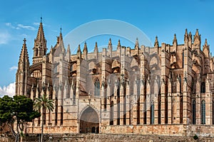 Gothic medieval cathedral La Seu and Royal Palace of La Almudaina. Palma de Mallorca. Balearic Islands Spain