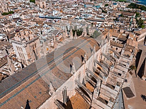 Gothic medieval cathedral of Palma de Mallorca in Spain