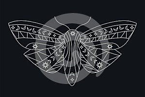 Gothic Moth silhouette in outline style. Beauty night Butterfly. Abstract vector illustration isolated on black