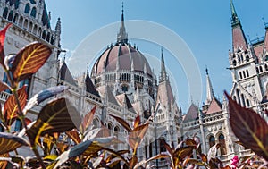 Gothic old building of the Hungarian parliament, Budapest