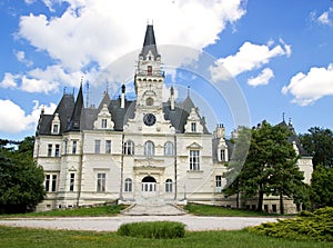 Gothic Palace with Yard