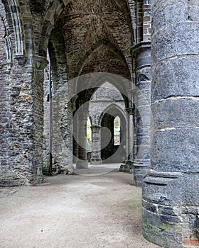 Gothic pillar arch window transept cathedral Abbey Villers la Ville, Belgium photo