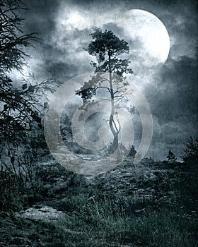 Gothic scenery 10