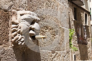 Gothic stone head of Fontain of the Church in Solsona, Lleida,Catalonia, Spain photo