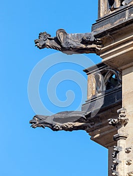 Gothic style Gargoyle on St Vitus' Cathedral, Prague