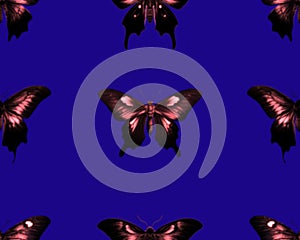 Gothic style seamless pattern with soft edged butterflies . Halloween themed graphic print for clothing, fabric photo