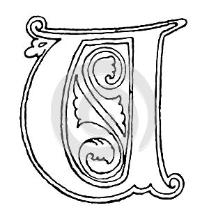 Gothic Uncial of V, vintage illustration photo