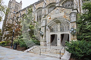 Gothic University Entrance with Lush Greenery, Eye-Level View