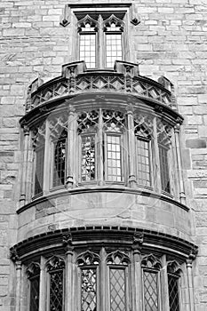 Gothic windows