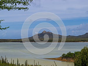 Goto Salt and Flamingo Lake on the island of Bonaire