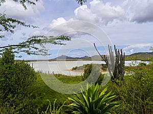 Goto Salt and Flamingo Lake on the island of Bonaire