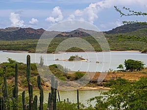 Goto Salt and Flamingo Lake on the island of Bonaire