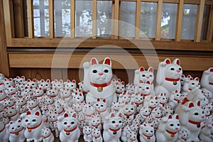 Gotokuji, the famous cat shrine in tokyo, which the beckoning cat is its mascot