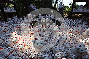 Gotokuji, the famous cat shrine in tokyo, which the beckoning cat is its mascot