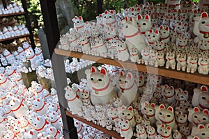 Gotokuji, the famous cat shrine in tokyo, which the beckoning cat is its mascot