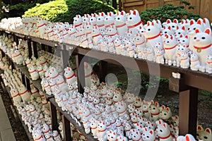 Gotokuji, the famous cat shrine in tokyo, which the beckoning cat is its mascot