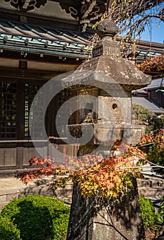 Gotokuji japanese temple, Setagaya, Tokyo. Autumn colours, maple leaves