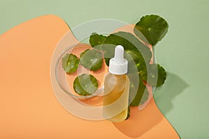 Gotu kola (Centella asiatica) has many benefits for both skin and health