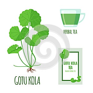 Gotu Kola set with tea package and cup of tea in flat style isolated on white.