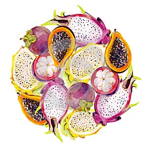 Gouache circle shaped exotic fruits. Pattern 2. Hand-drawn clipart for art work and weddind design.